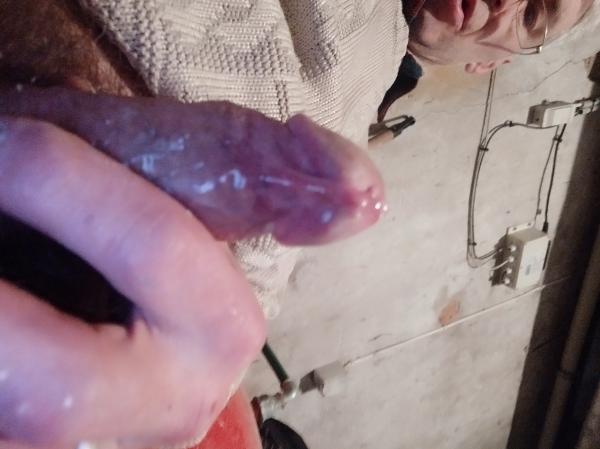 Lazitajs (52)