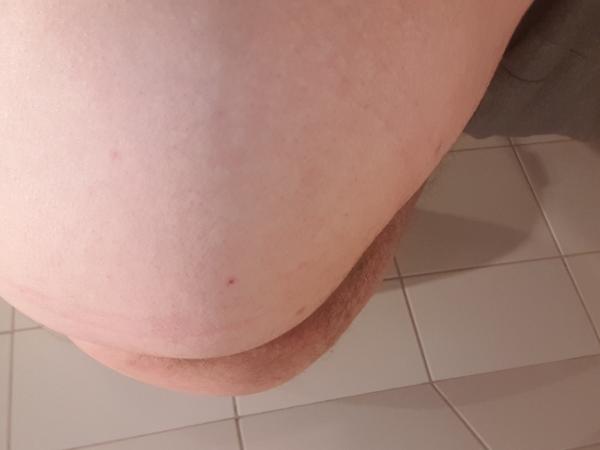 ivo (38)