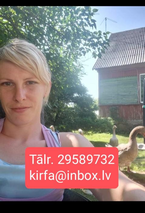 Baiba (33)