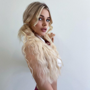 Vlada