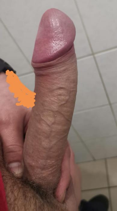 TT (28)