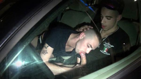 auto oral (31)