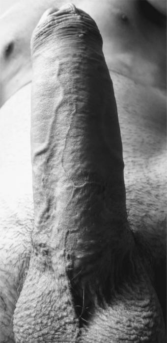 Muris (27)
