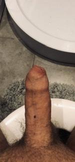 Evening (21)