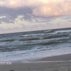 palanga