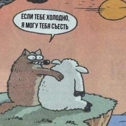 Forshais