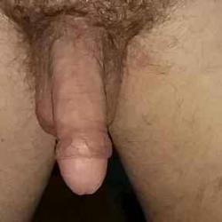 andis