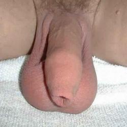 Liep