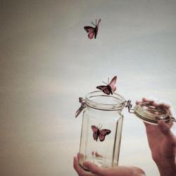 Freelove