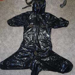 Pet play