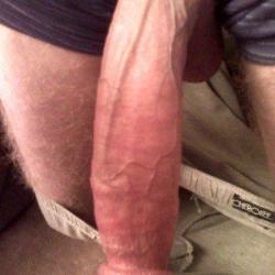 Ralfs