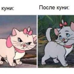 Sponsors