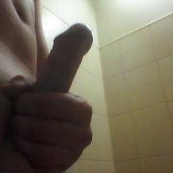 vidzeme