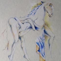 MrUnicorn