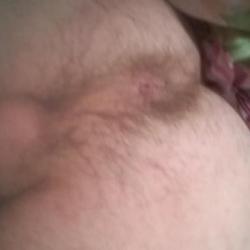 Grib