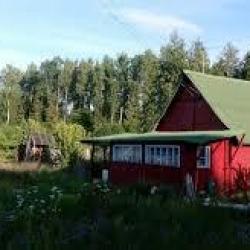 Dacha