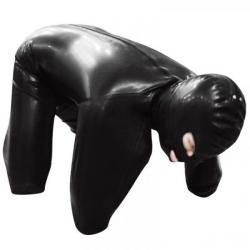 pet play