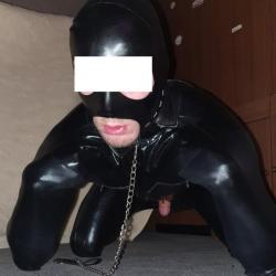 Pet play