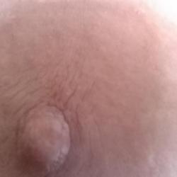 ledi