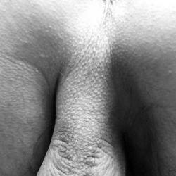 sex toy