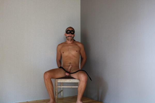 Vergs (31)