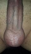 MaxV (33)