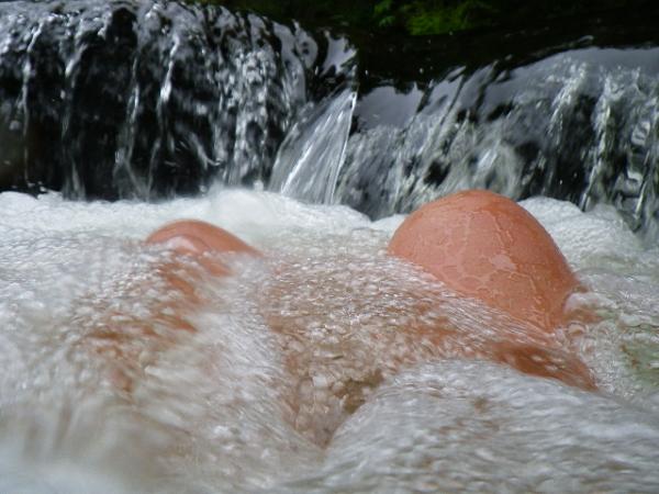 Meness_Jau (38)
