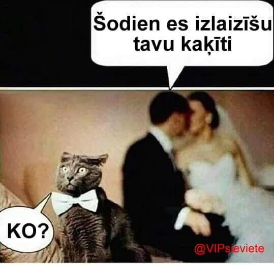 Ingus (27)
