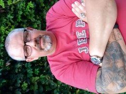 Reinhards (52)