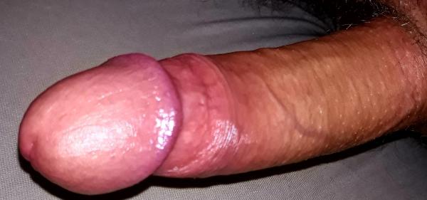 Andis (32)