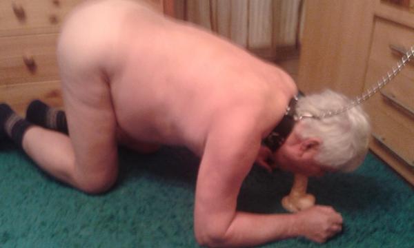 ivo (60)