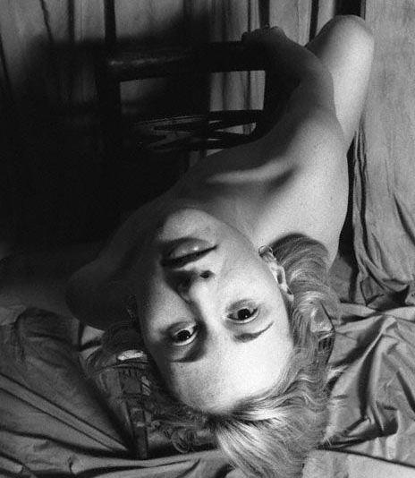 foto (44)
