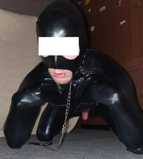 Pet play (30)