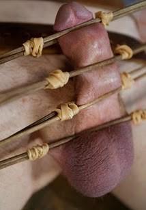 ... (30)