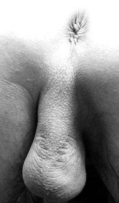 Jaukums (27)