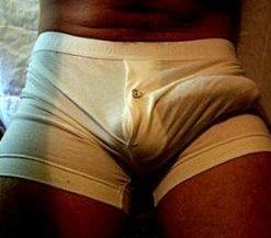 viins (22)