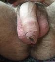 talsi (48)