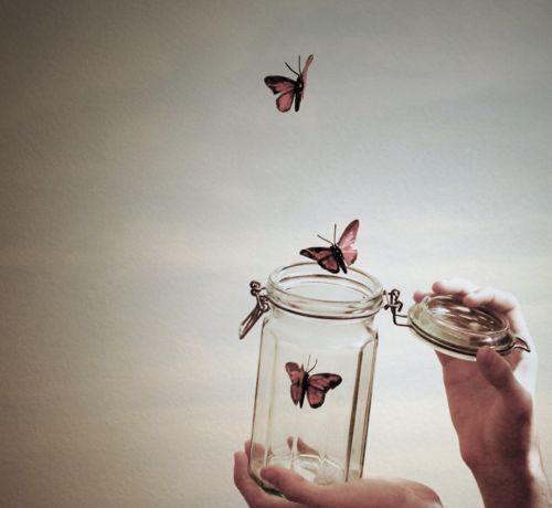Freelove (35)