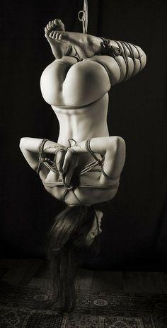 Master (40)