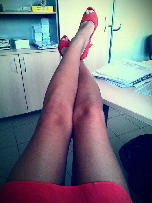 Precejies (27)