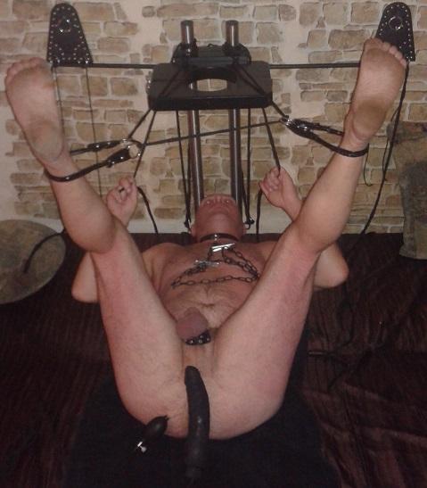 DOMINA (41)