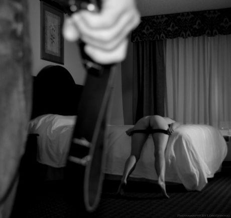 Dominants (40)