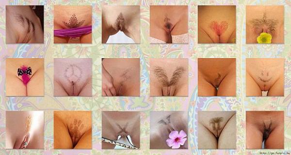 Lauma (30)