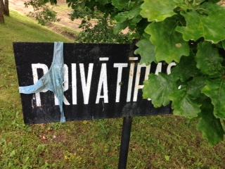 Pipars (38)
