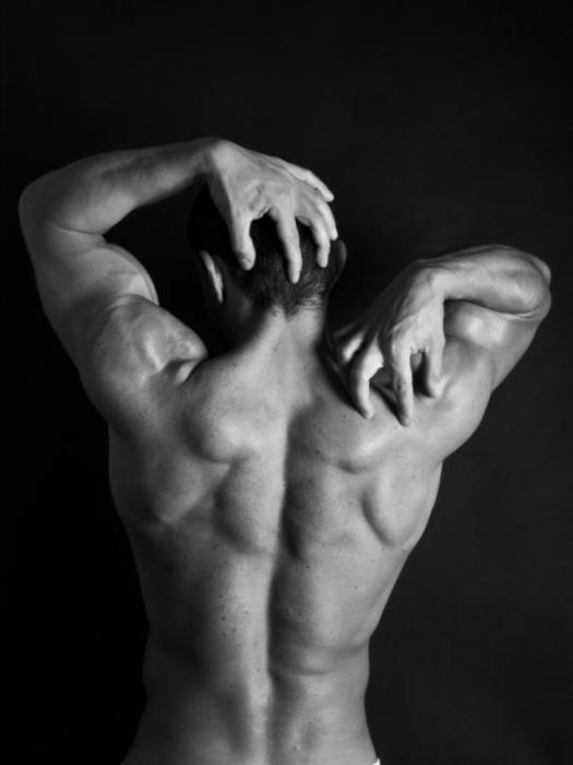 FITNESS (31)