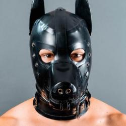 dog play