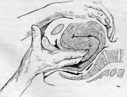 olegs (49)