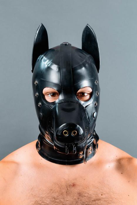 dog play (32)