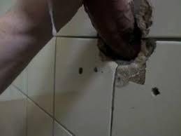 Scat (28)