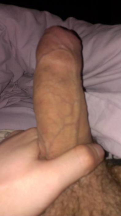 Elvis (26)